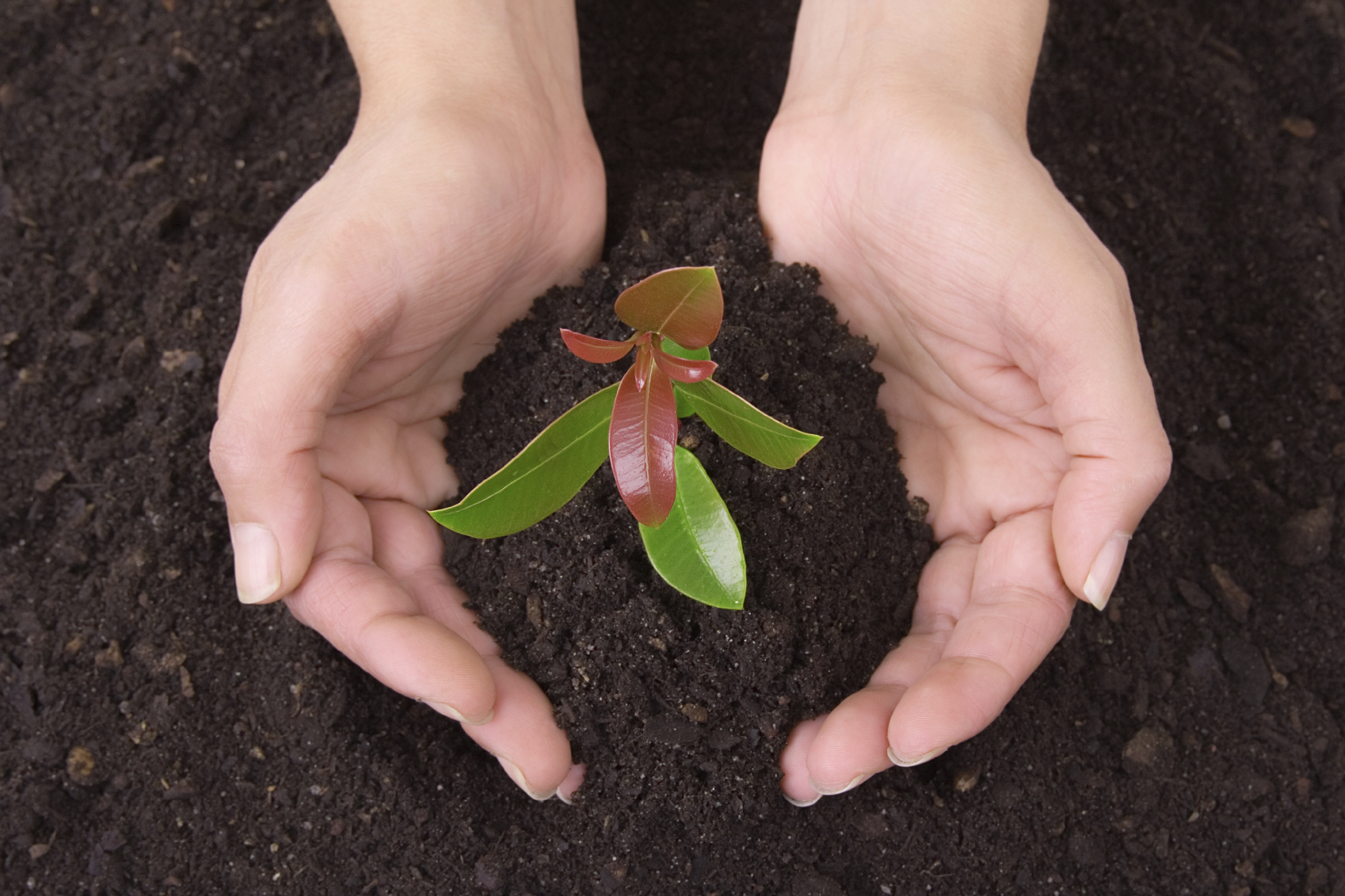 support as you grow