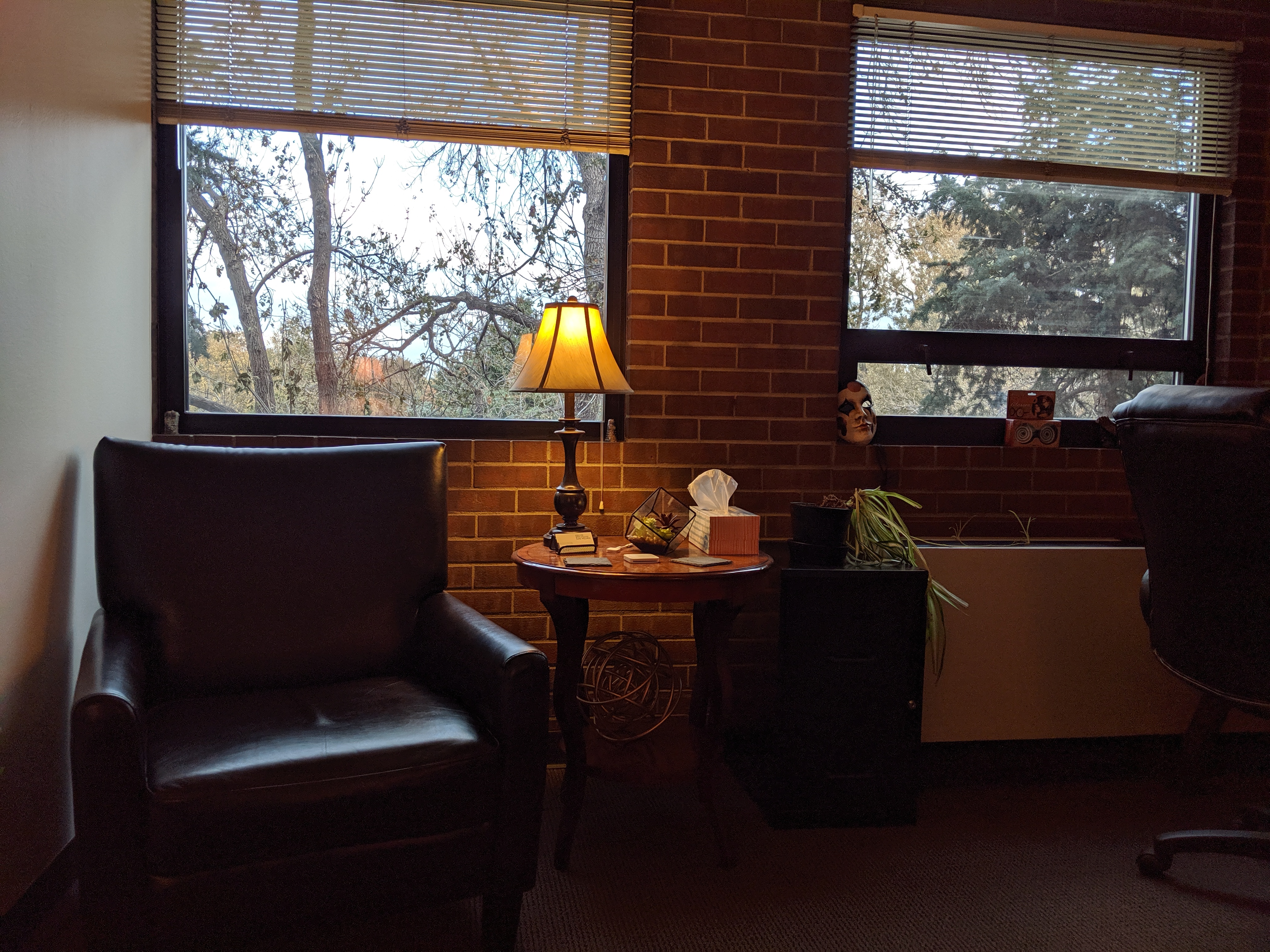 A soothing view out the window helps make a comfortable space that feels safe.