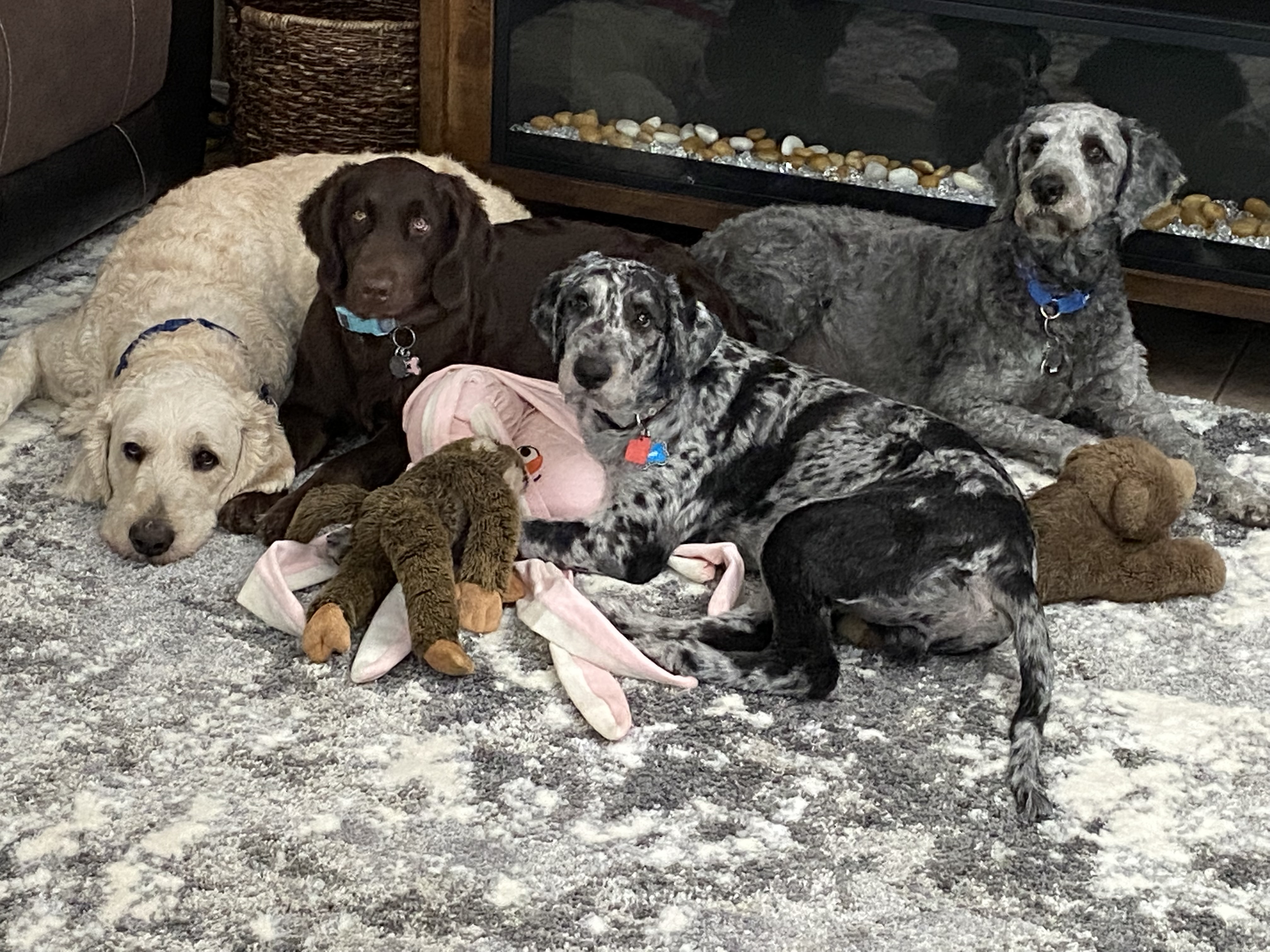 the whole therpy group