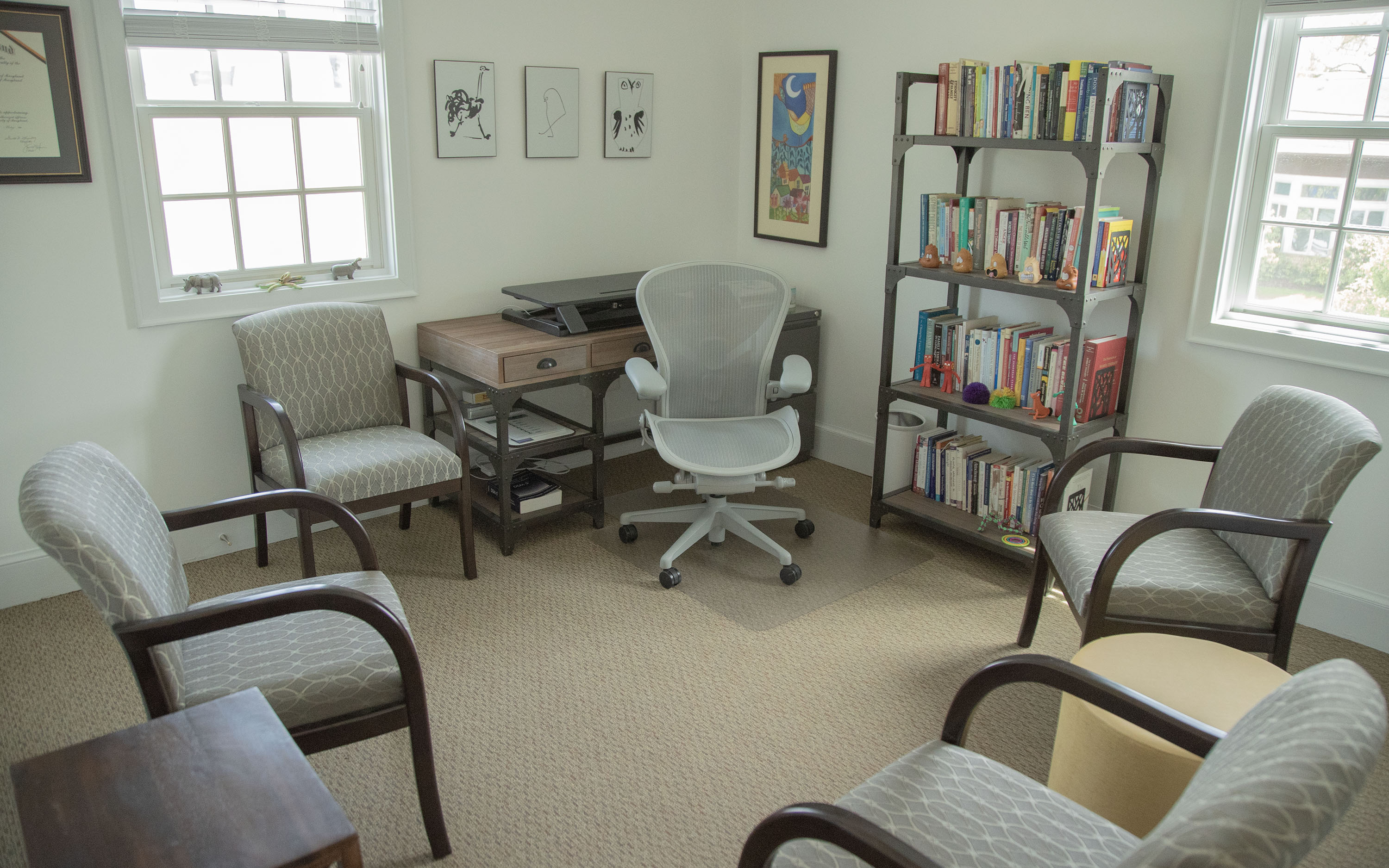 Therapy Office 