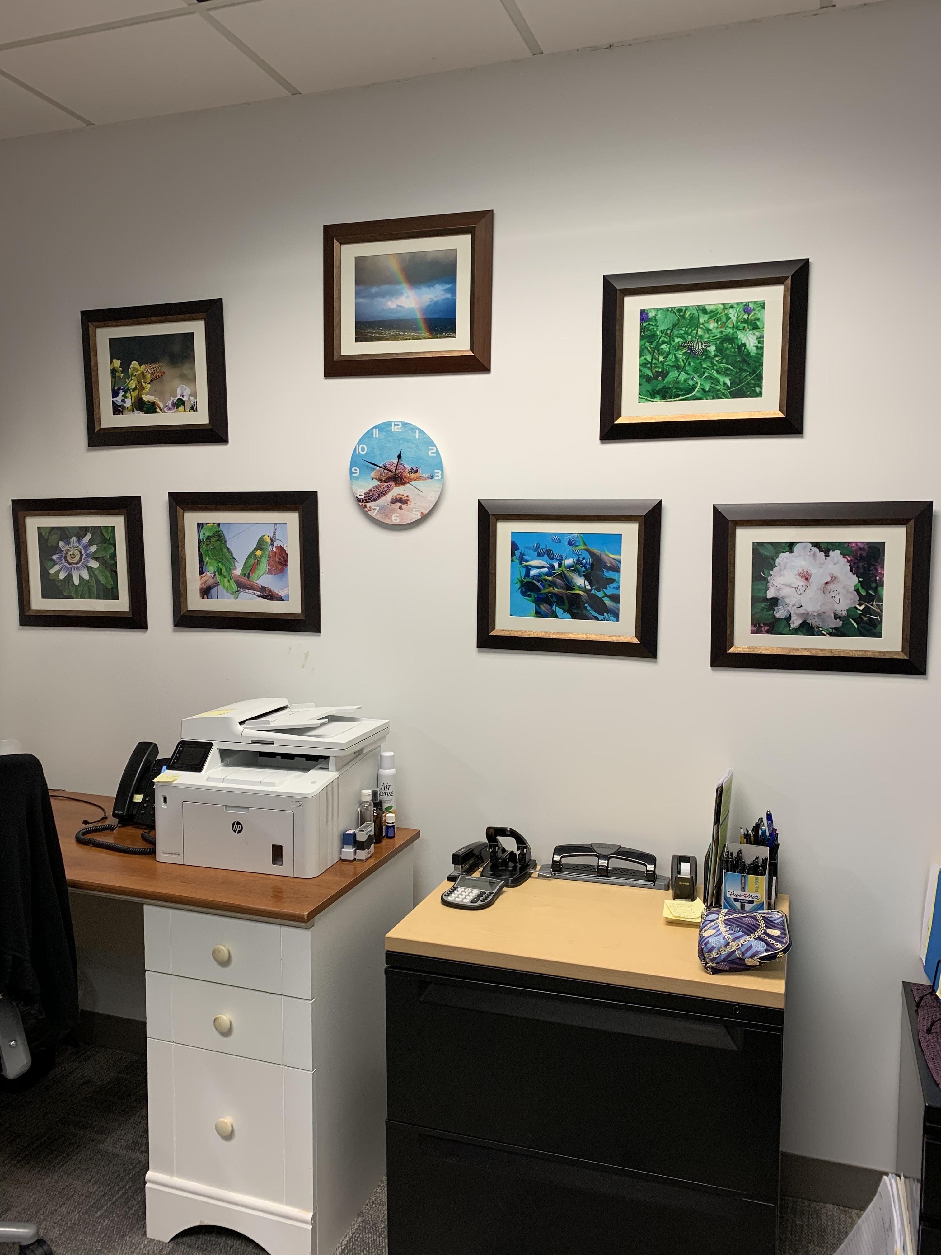 my office art