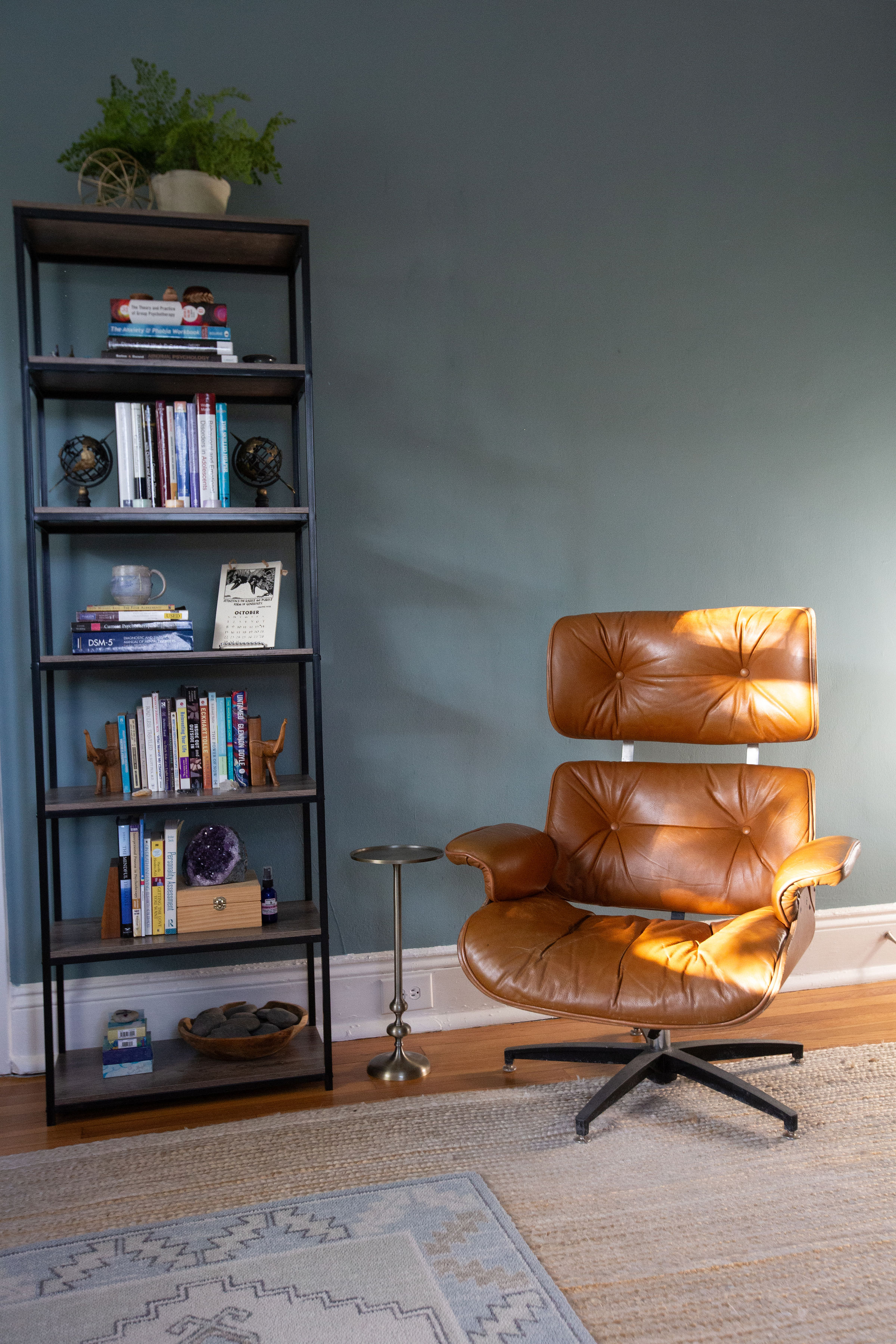 clinician chair