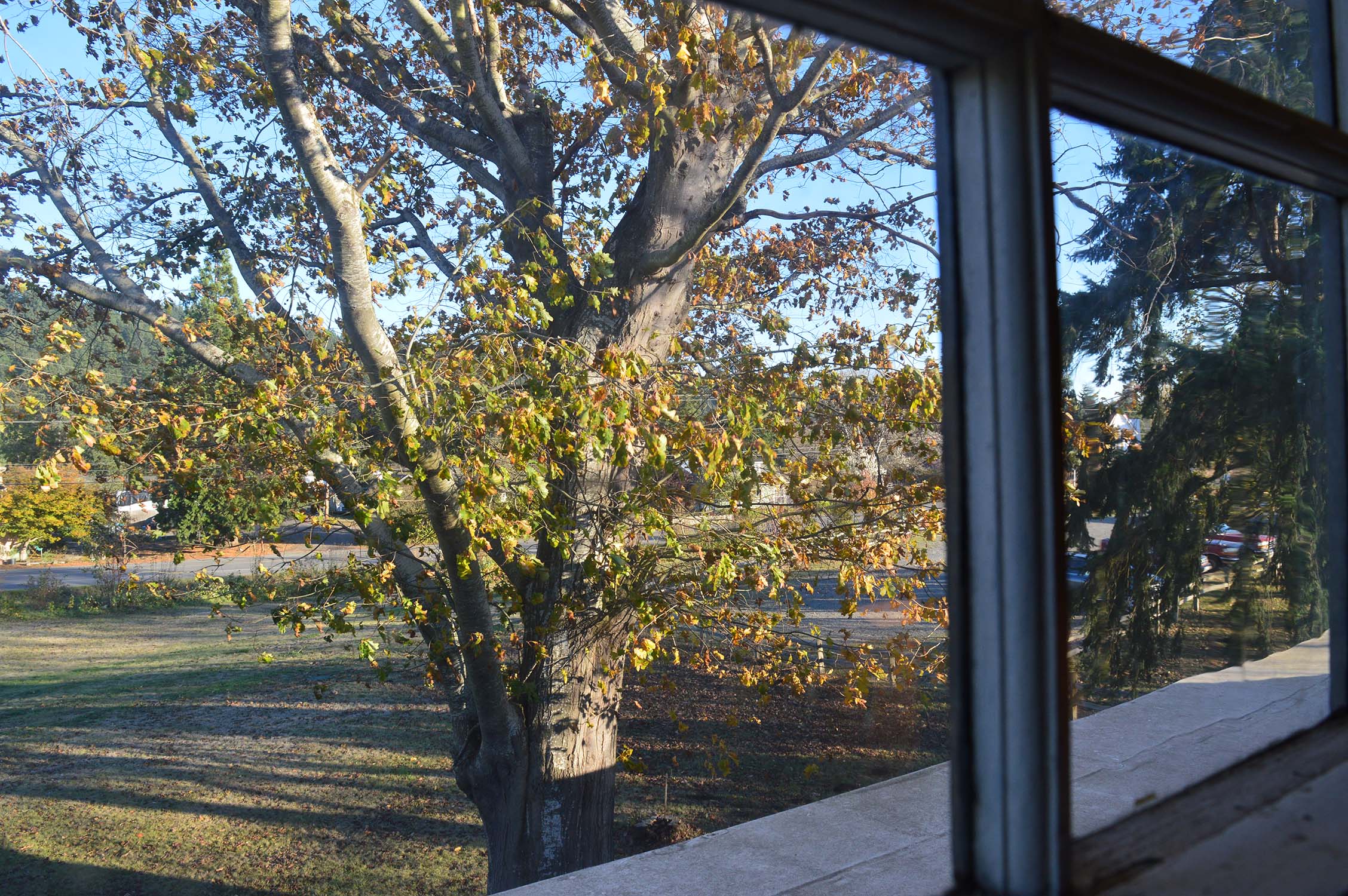 Gallery image 3