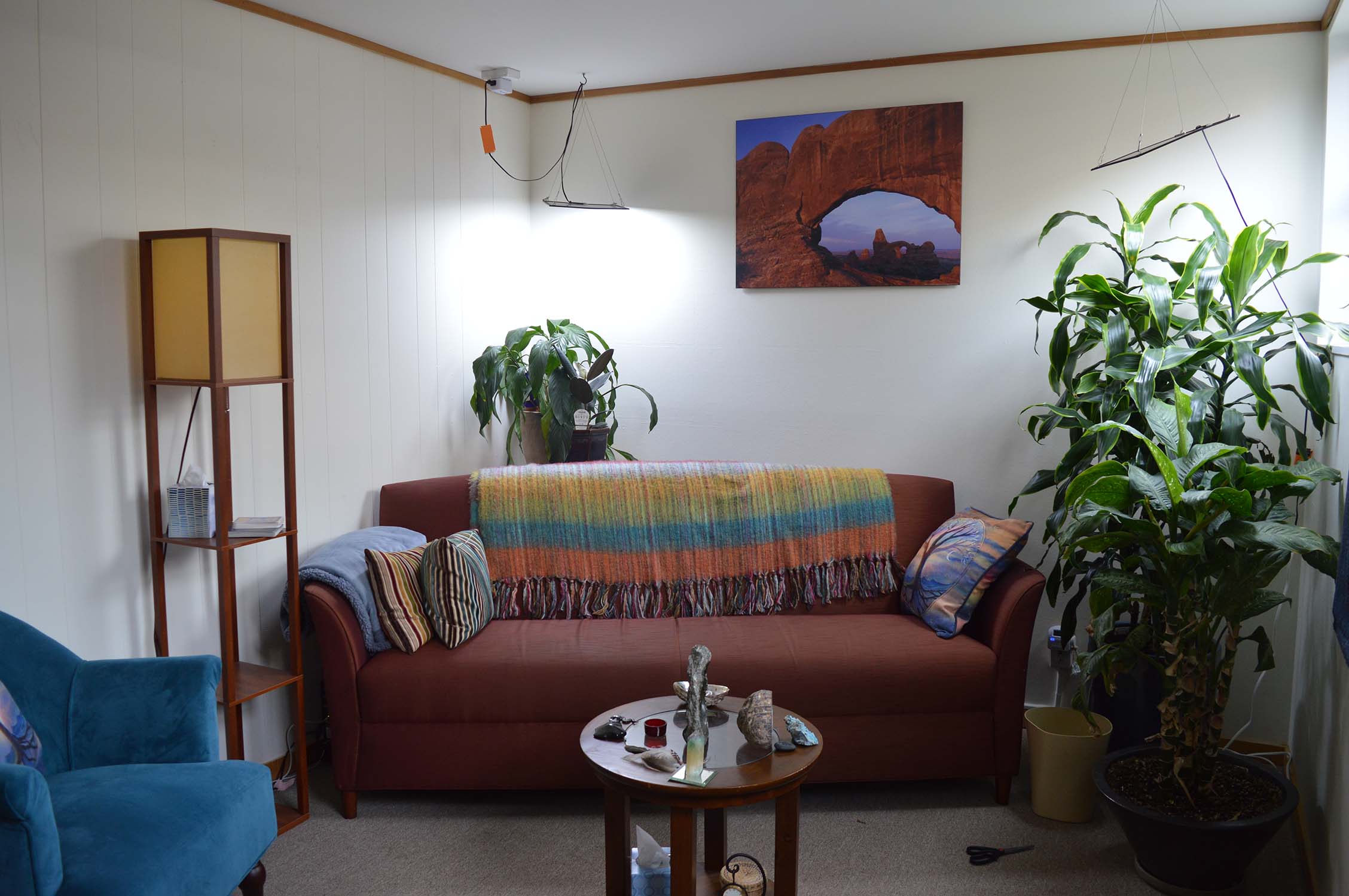 Gallery image 6