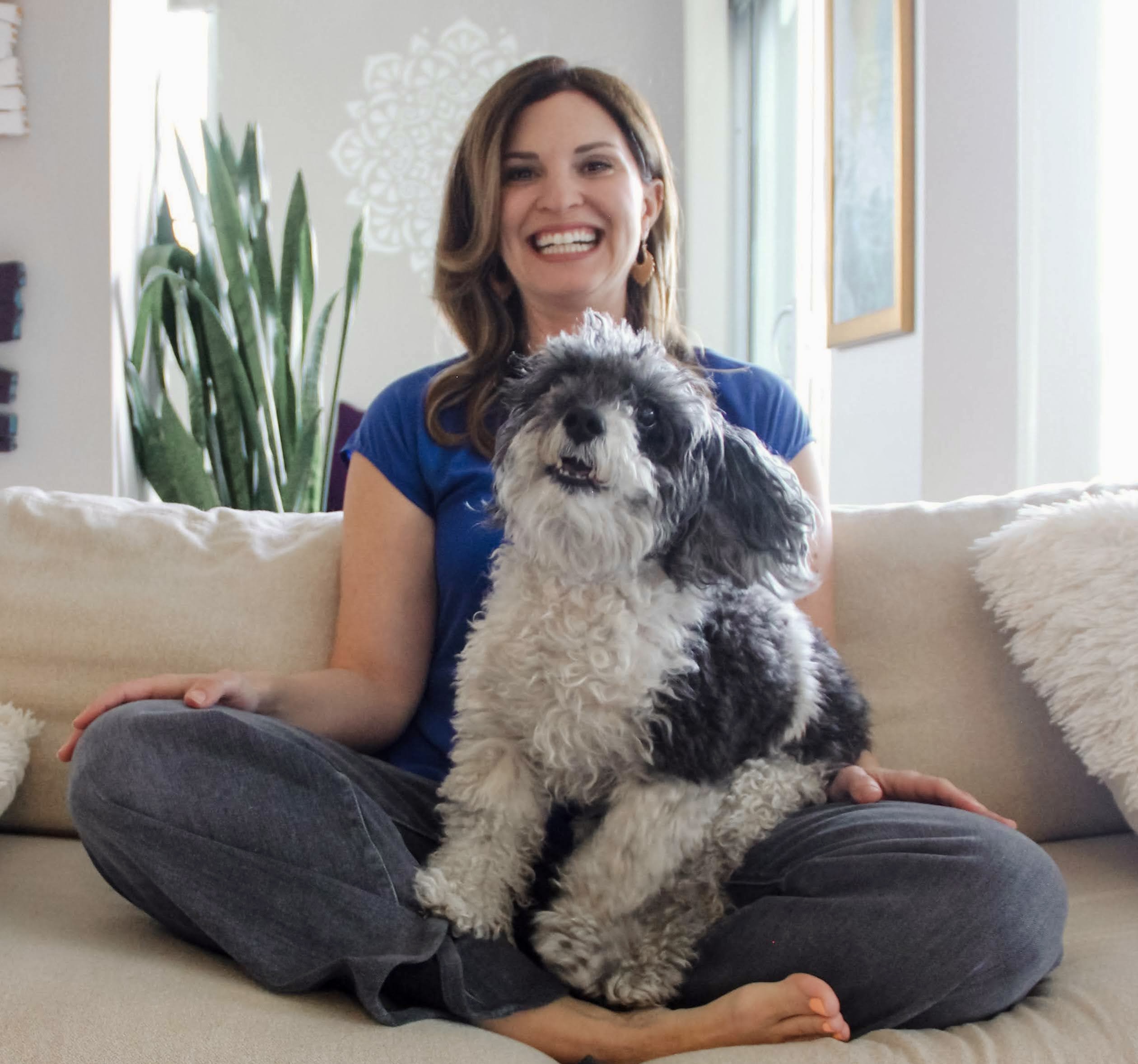 Therapy dog, Gizmo