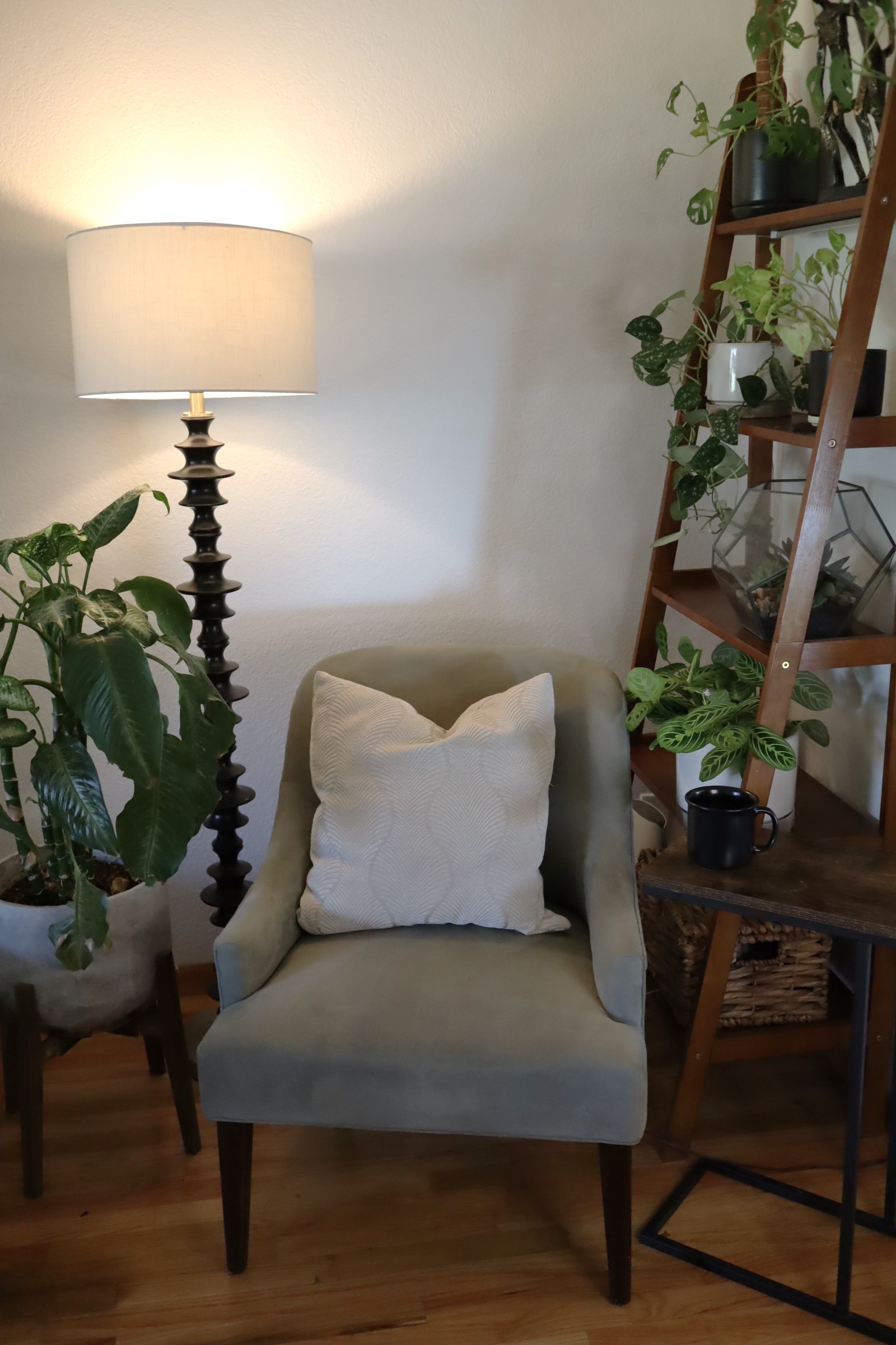 Gallery image 4