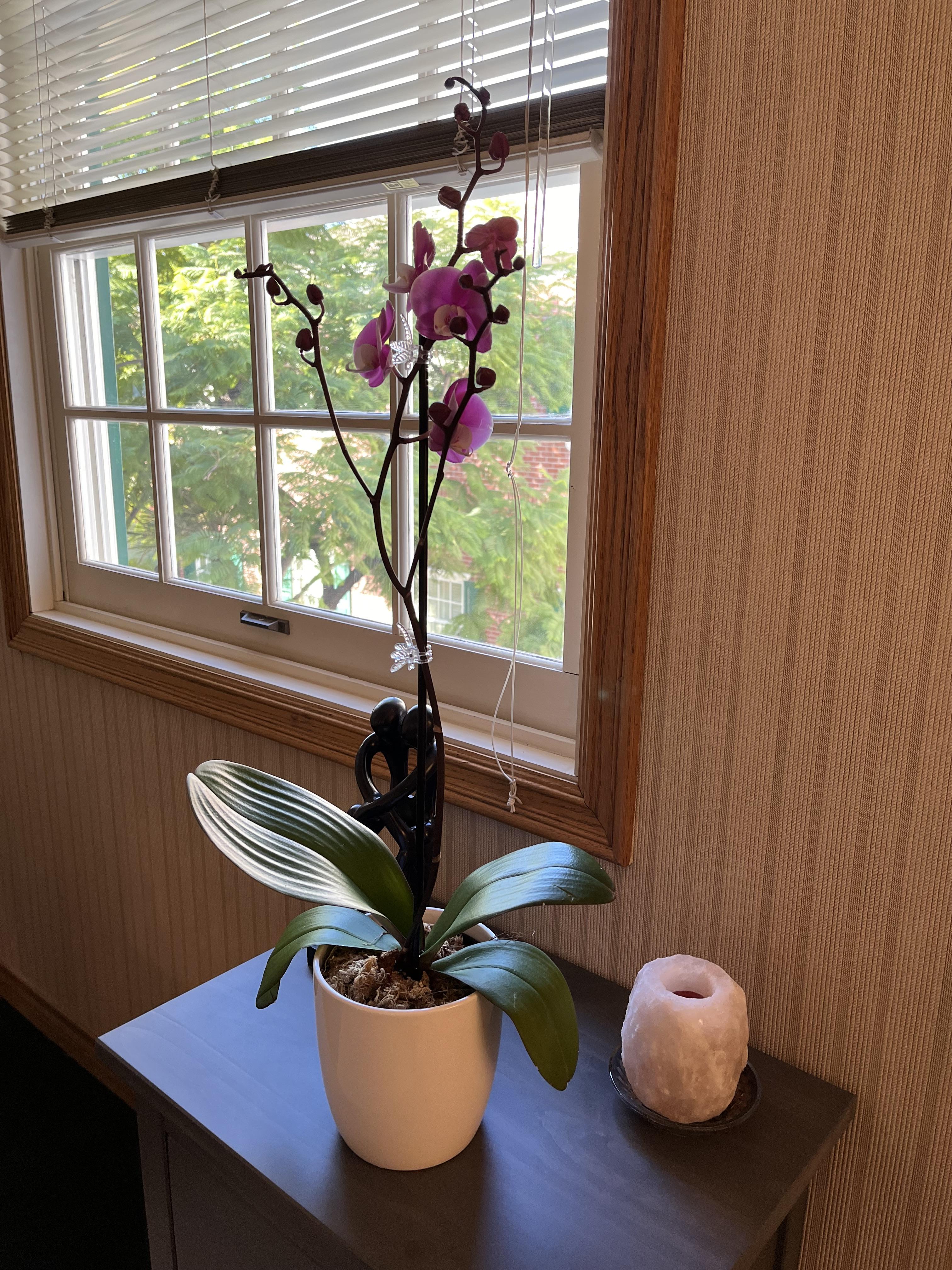 Gallery image 1