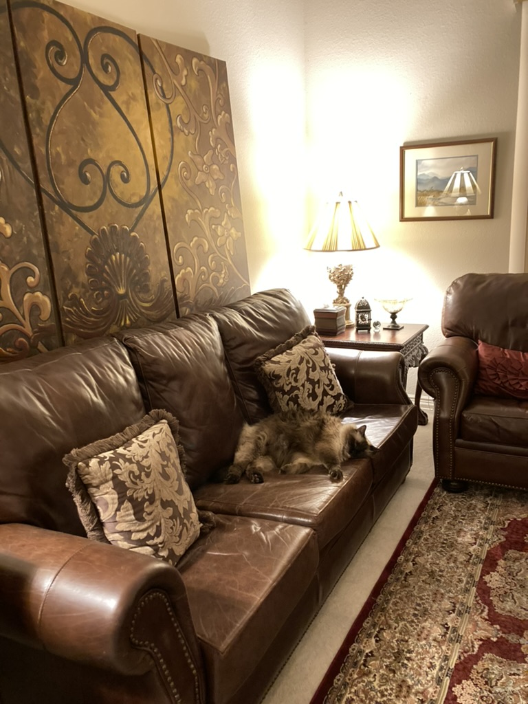 Private Practice Office
