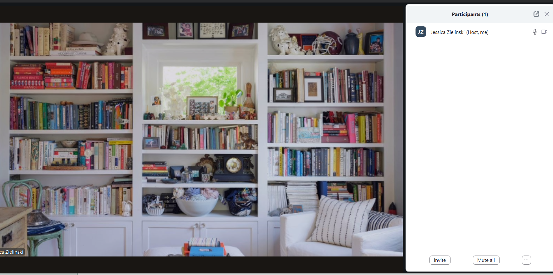 Zoom background option 1