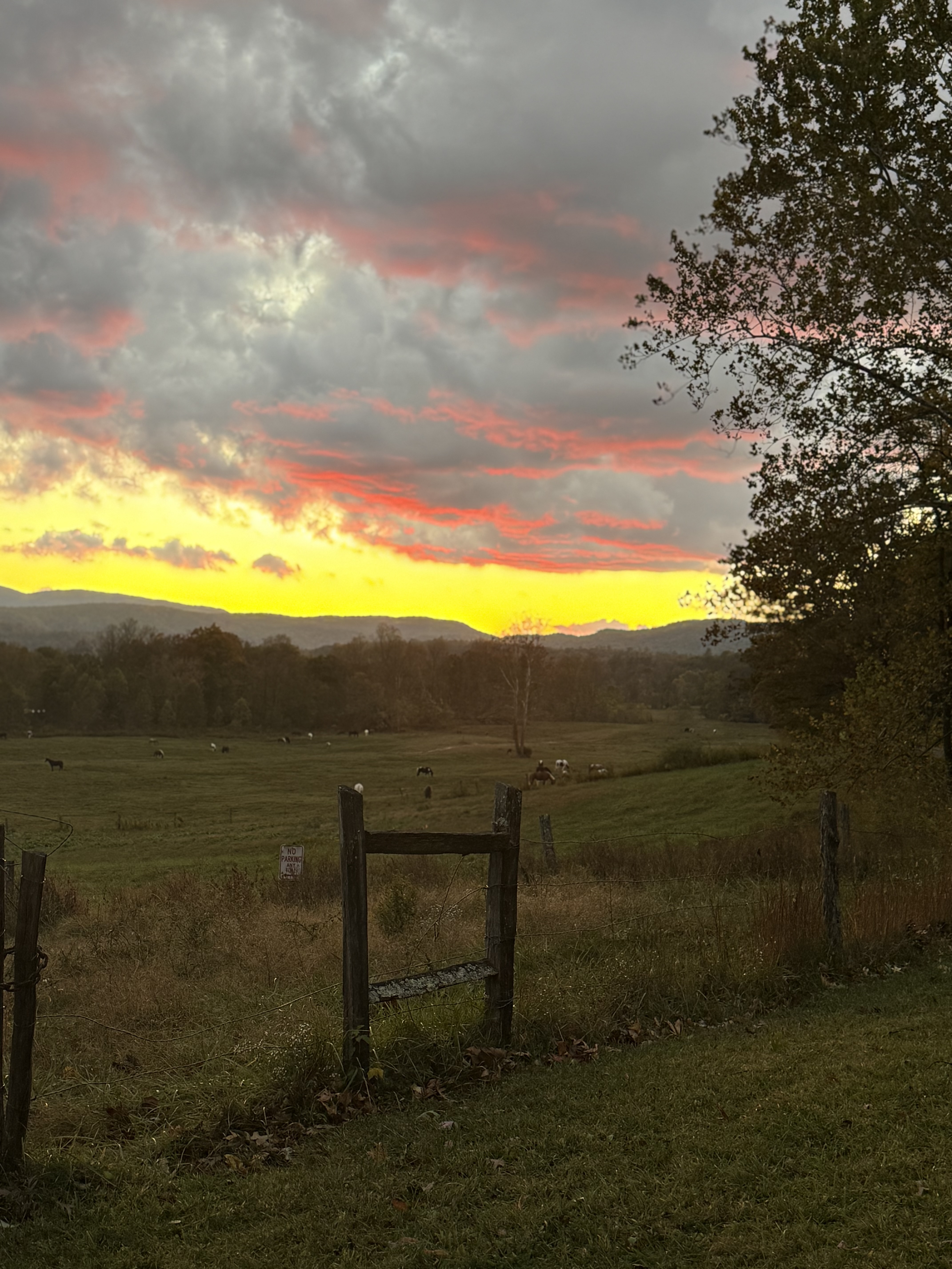 Peace of mind in open spaces