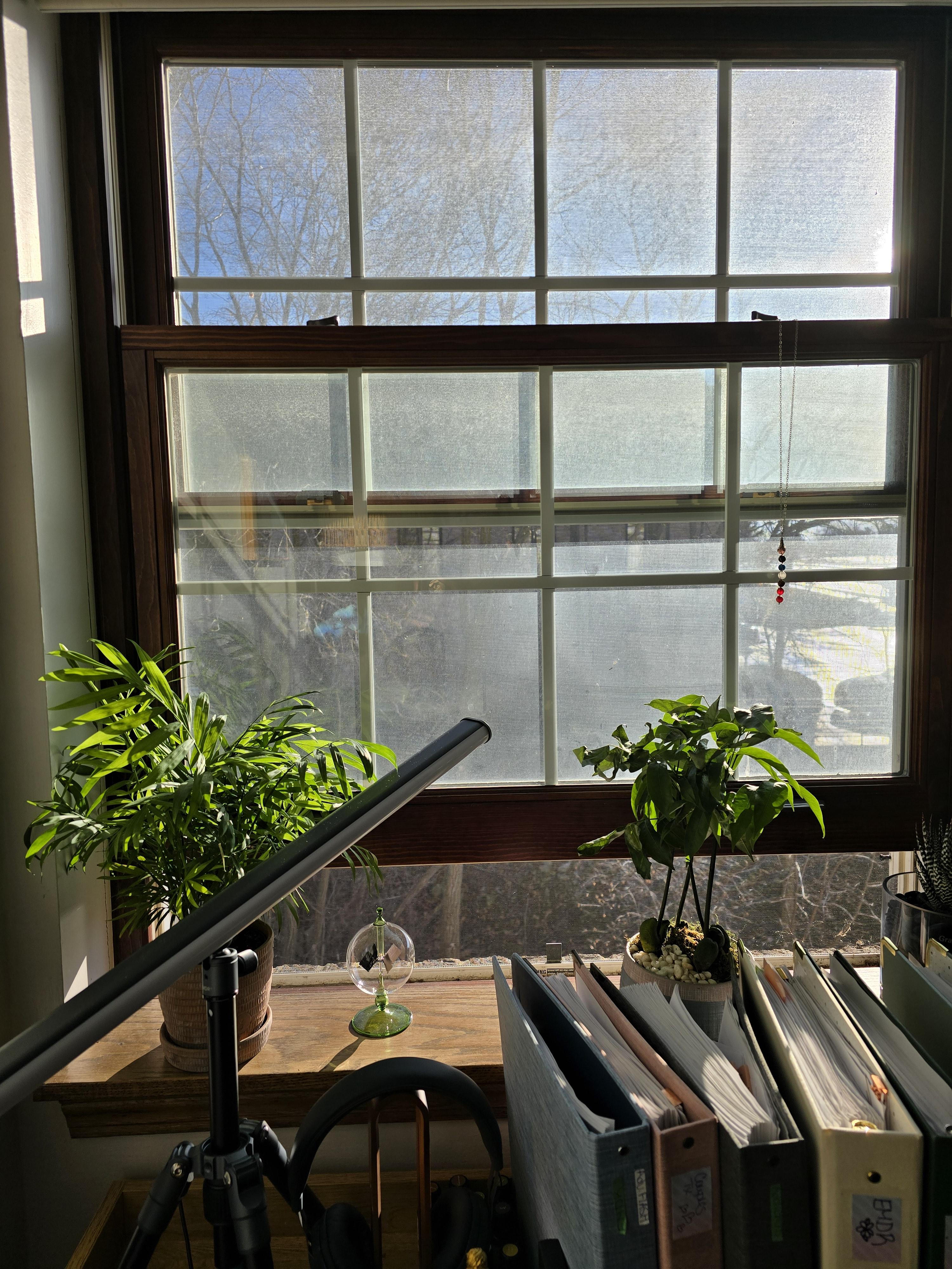 Gallery image 1