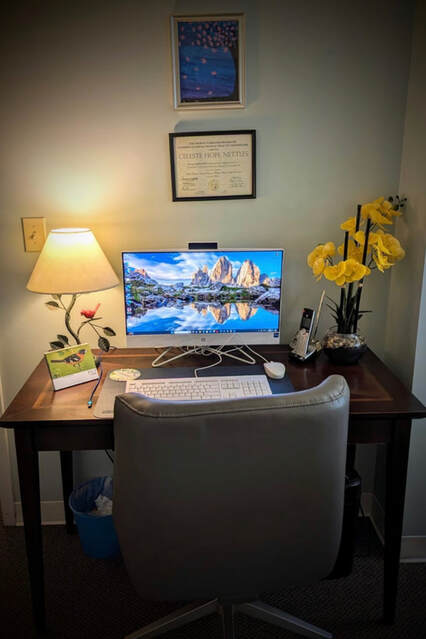 Telehealth