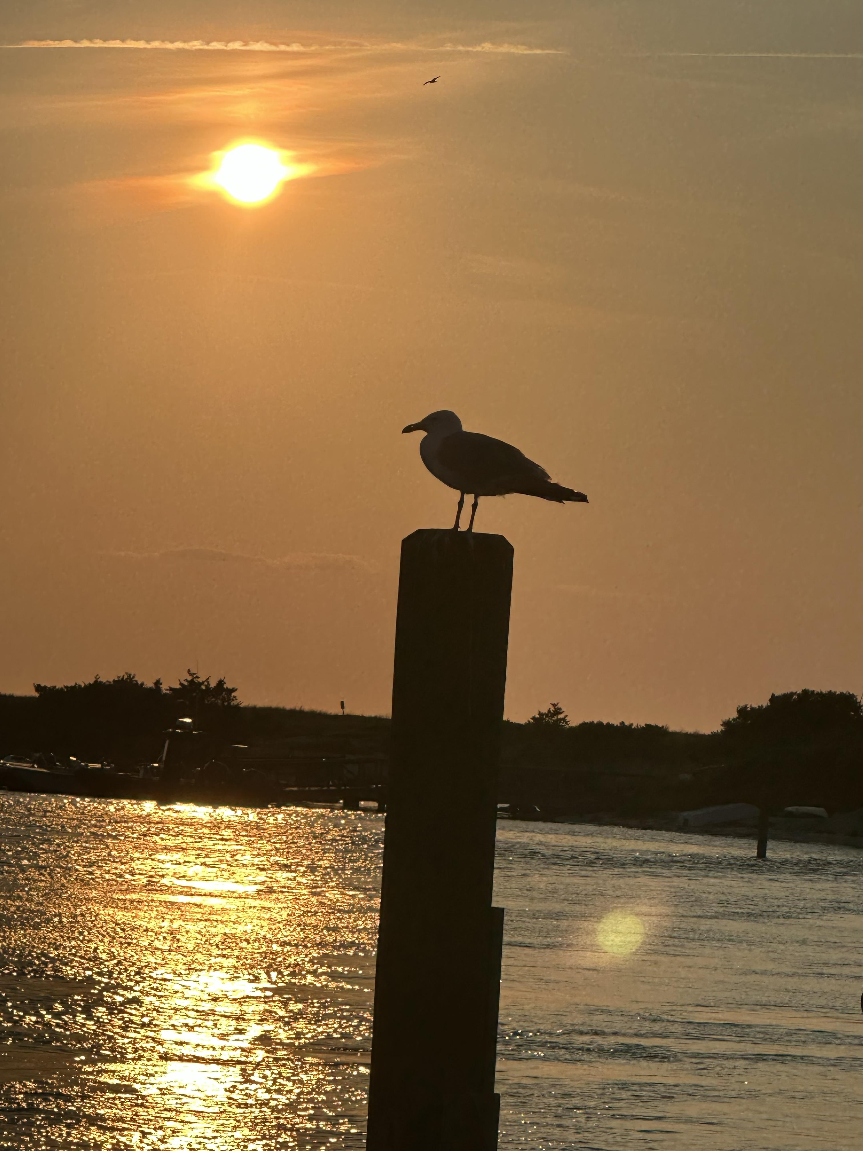 Reminder of life\'s beauty