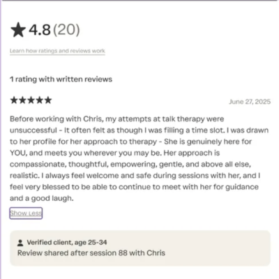4.8 Star Rating from 20 clients and one client\'s written review
