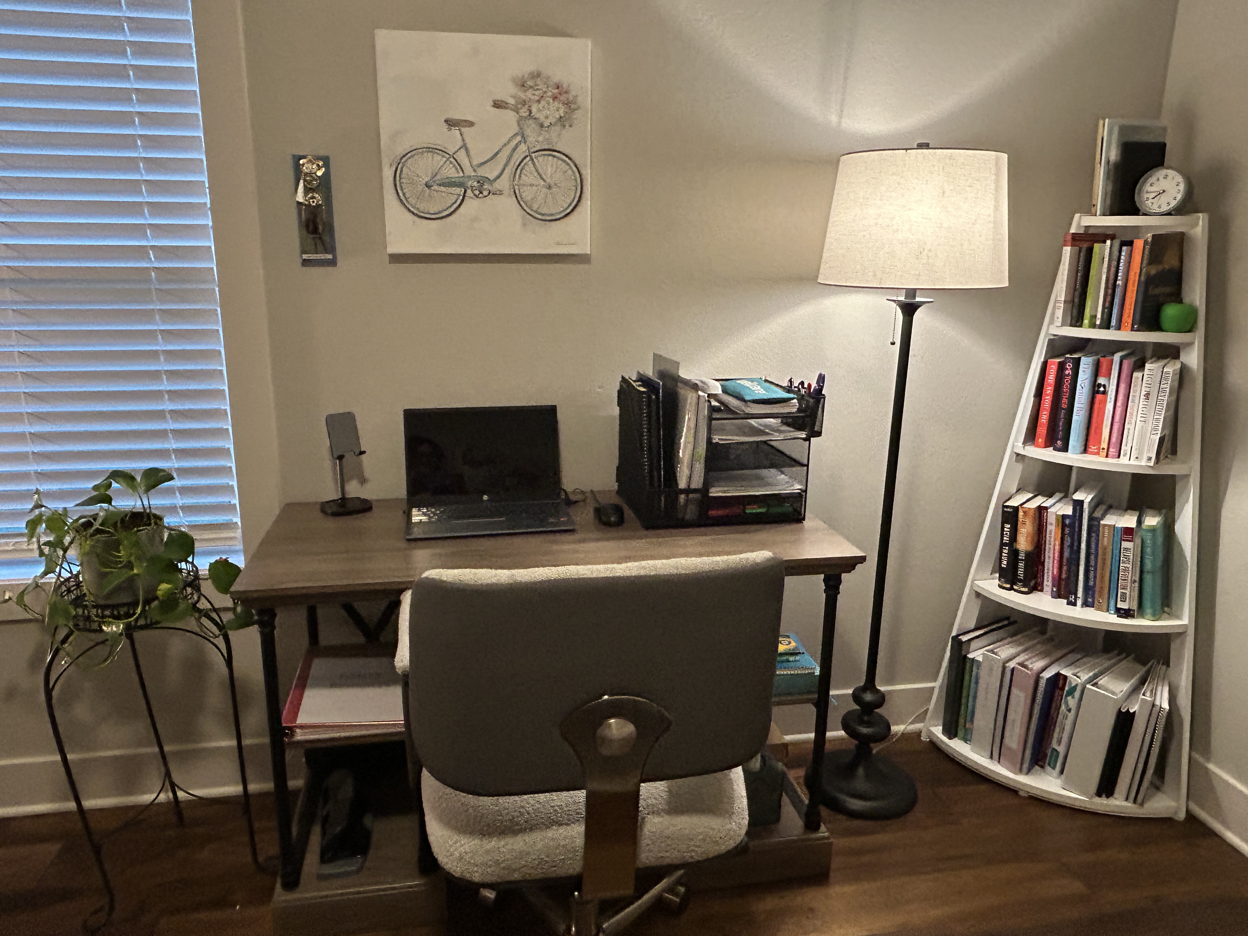 My telehealth workspace.