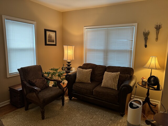 Gallery image 5