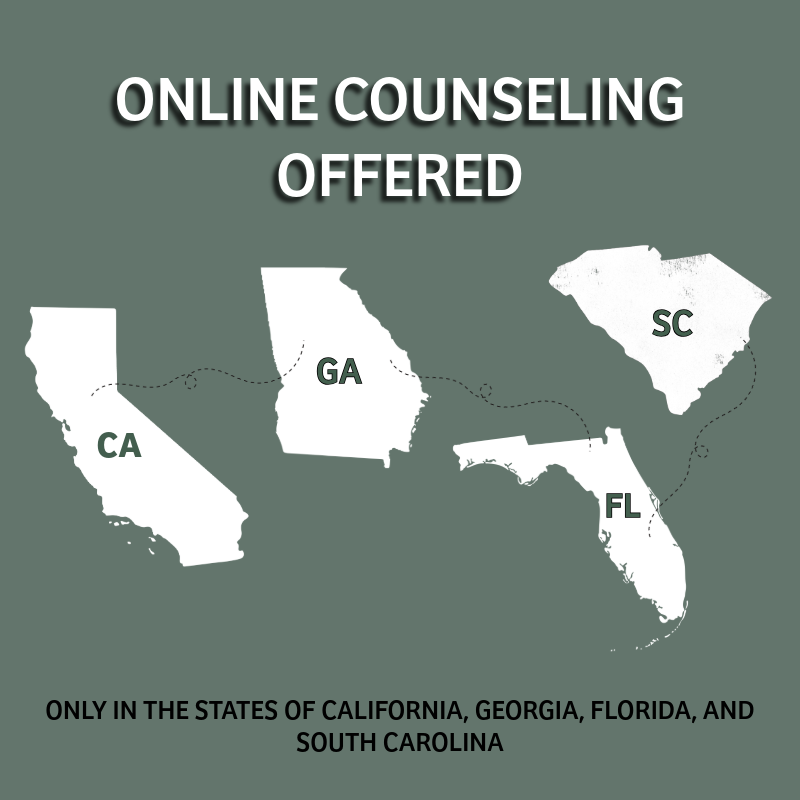 Virtual Counseling Sessions offered in Georgia, Flordia, California, and South Carolina!