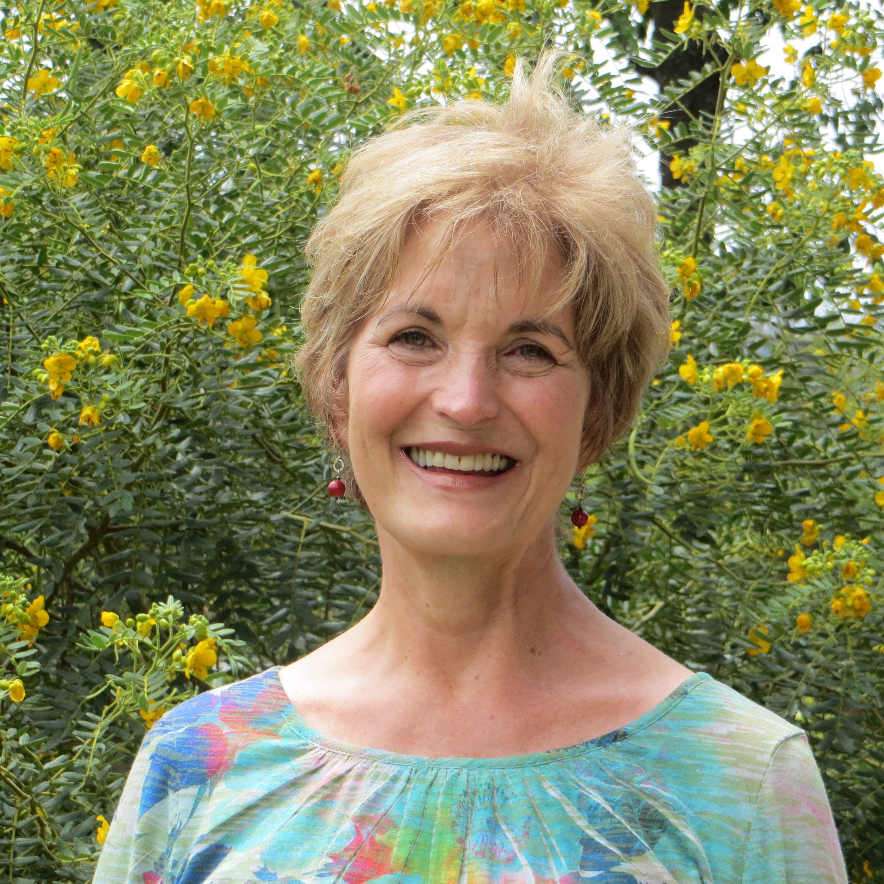 Terri Hager MSW, Licensed Clinical Social Worker
