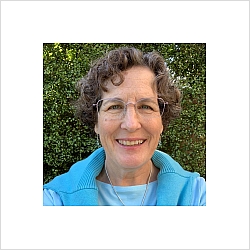 Carol Mills LCSW