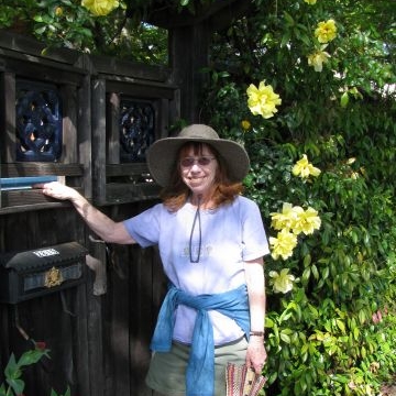 Judye Hess PhD, Licensed Psychologist