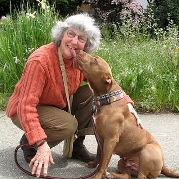 Lynn Rubin Licensed Marriage and Family Therapist