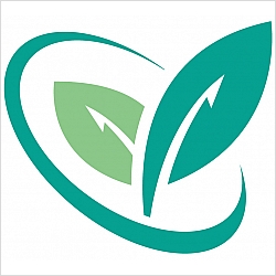Matthew  Quick Licensed Professional Counselor, National Certified Counselor