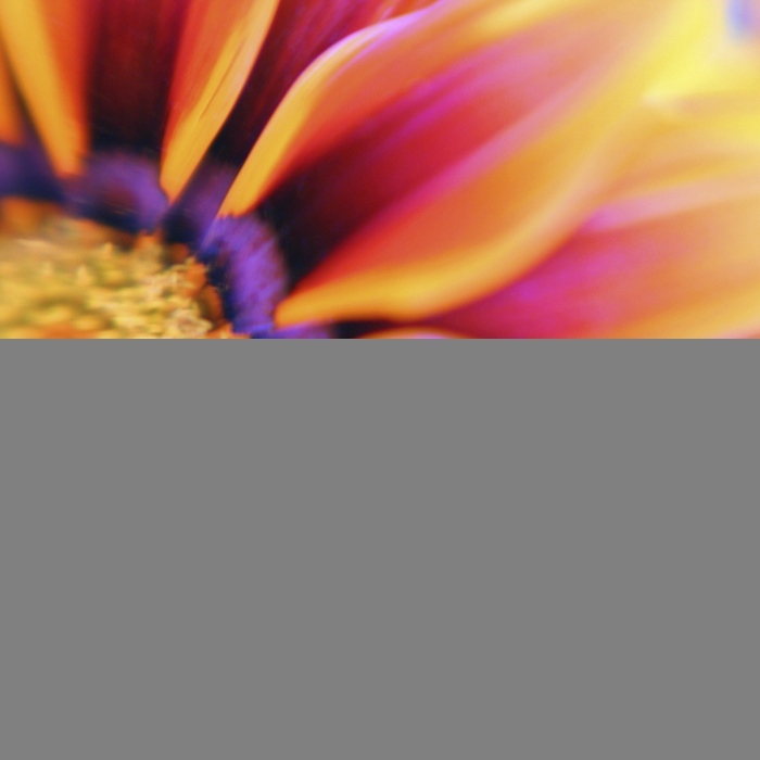 Cynthia A Levy PsyD - licensed clinical psychologist